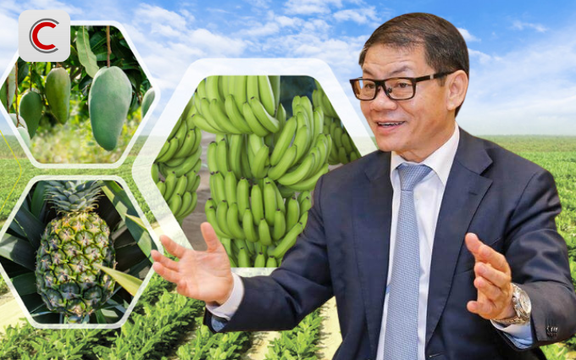 Tỷ phú Trần Bá Dương kể về thương vụ bán chuối trong 10 năm cho "ông trùm" nông nghiệp Fresh Del Monte: Chúng tôi phải cam kết nếu chất lượng dưới 90% chuẩn sẽ bị phạt 1 USD mỗi thùng (13 kg)