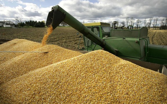 Trung Quốc, Campuchia đua nhau săn 'mỏ vàng' mới nổi của Việt Nam: là cứu tinh cho chăn nuôi, nước ta đứng thứ 8 thế giới về sản lượng