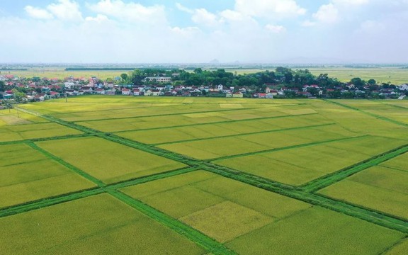 Quy định tính tiền sử dụng đất đối với hộ gia đình, cá nhân khi chuyển từ đất nông nghiệp sang đất ở năm 2026