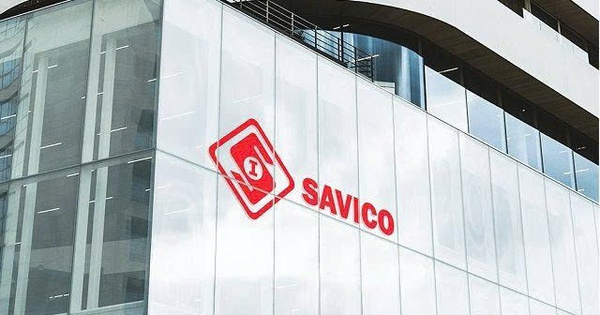 Savico Vì sao Savico không đáp ứng điều kiện công ty đại chúng?