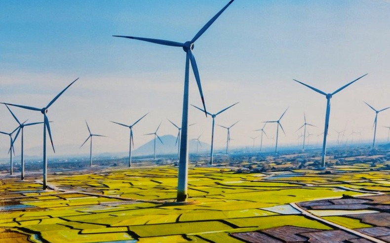 Trung Nam Đắk Lắk 1 mua lại hơn 200 tỷ đồng trái phiếu