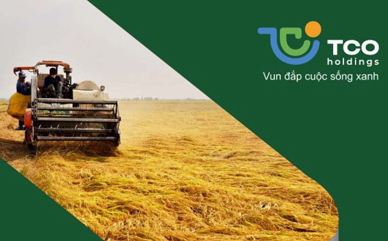 TCO Holdings muốn chuyển nhượng cổ phần tại công ty con