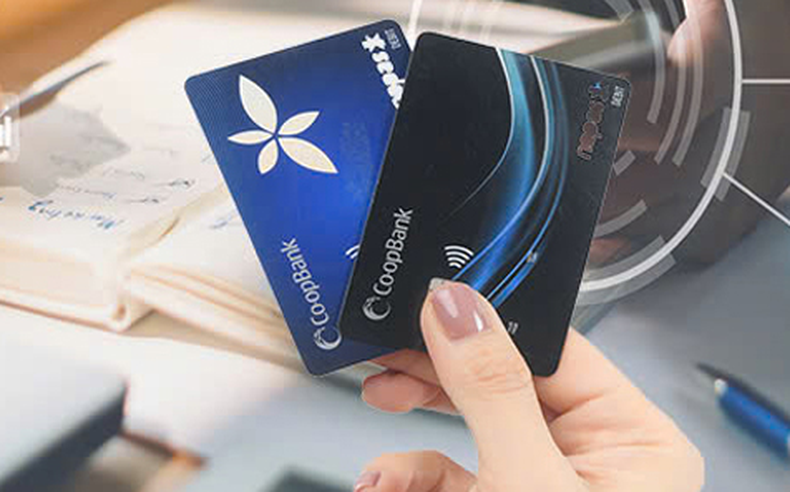 Công bố kết luận thanh tra Co-opBank Ninh Bình