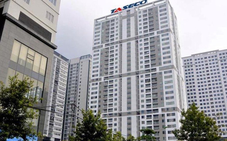 Biến động sở hữu của nhóm quỹ ngoại tại Taseco Land