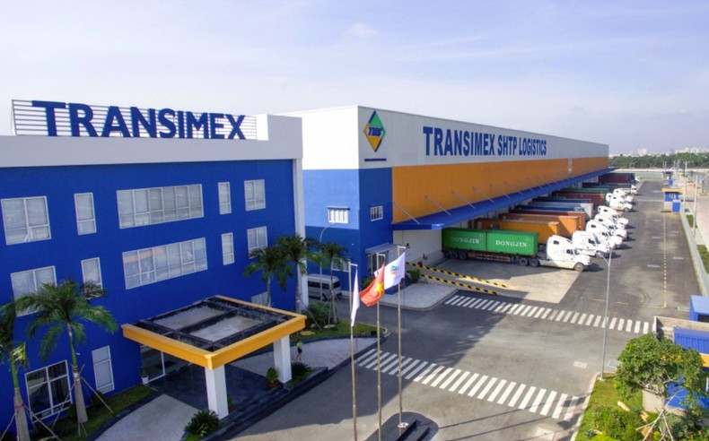 Transimex không mua được cổ phiếu VNF nào như đăng ký
